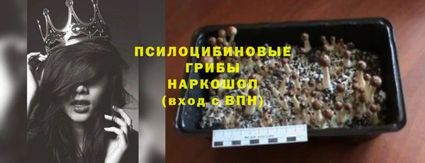дживик Алексин