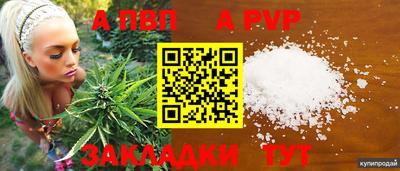 гашик Кумертау
