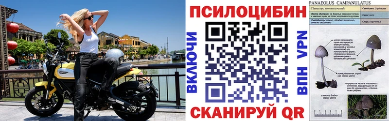 дарнет шоп  Серов  Галлюциногенные грибы ЛСД 
