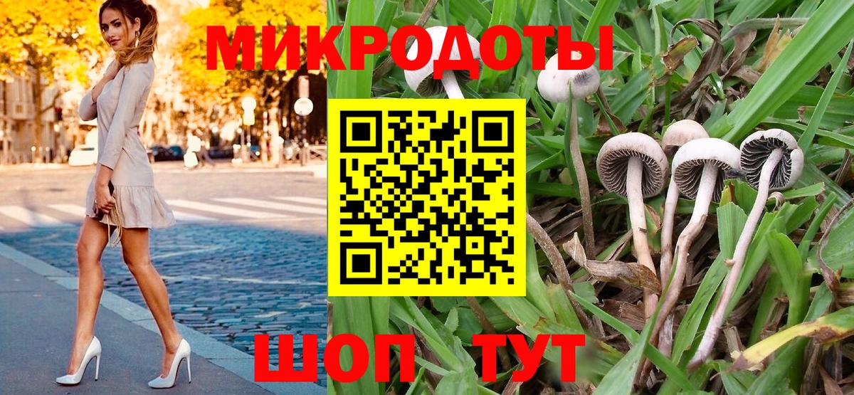 Серов  Галлюциногенные грибы ЛСД  хочу наркоту  Вход с VPN 